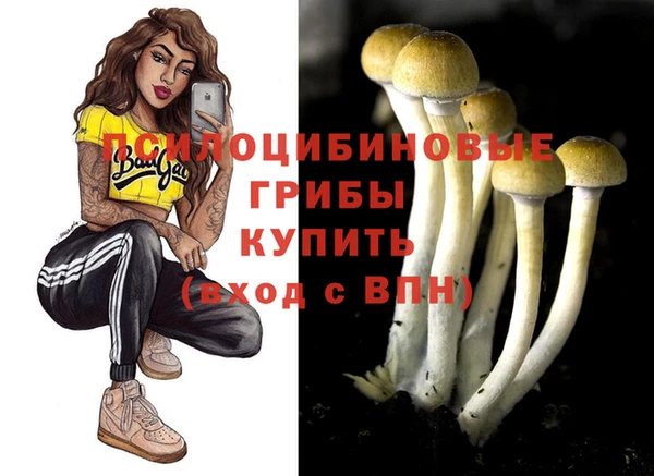 бутират Абинск
