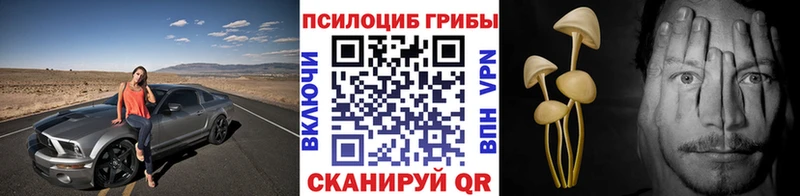 Псилоцибиновые грибы Cubensis  наркошоп  hydra зеркало  Венёв 